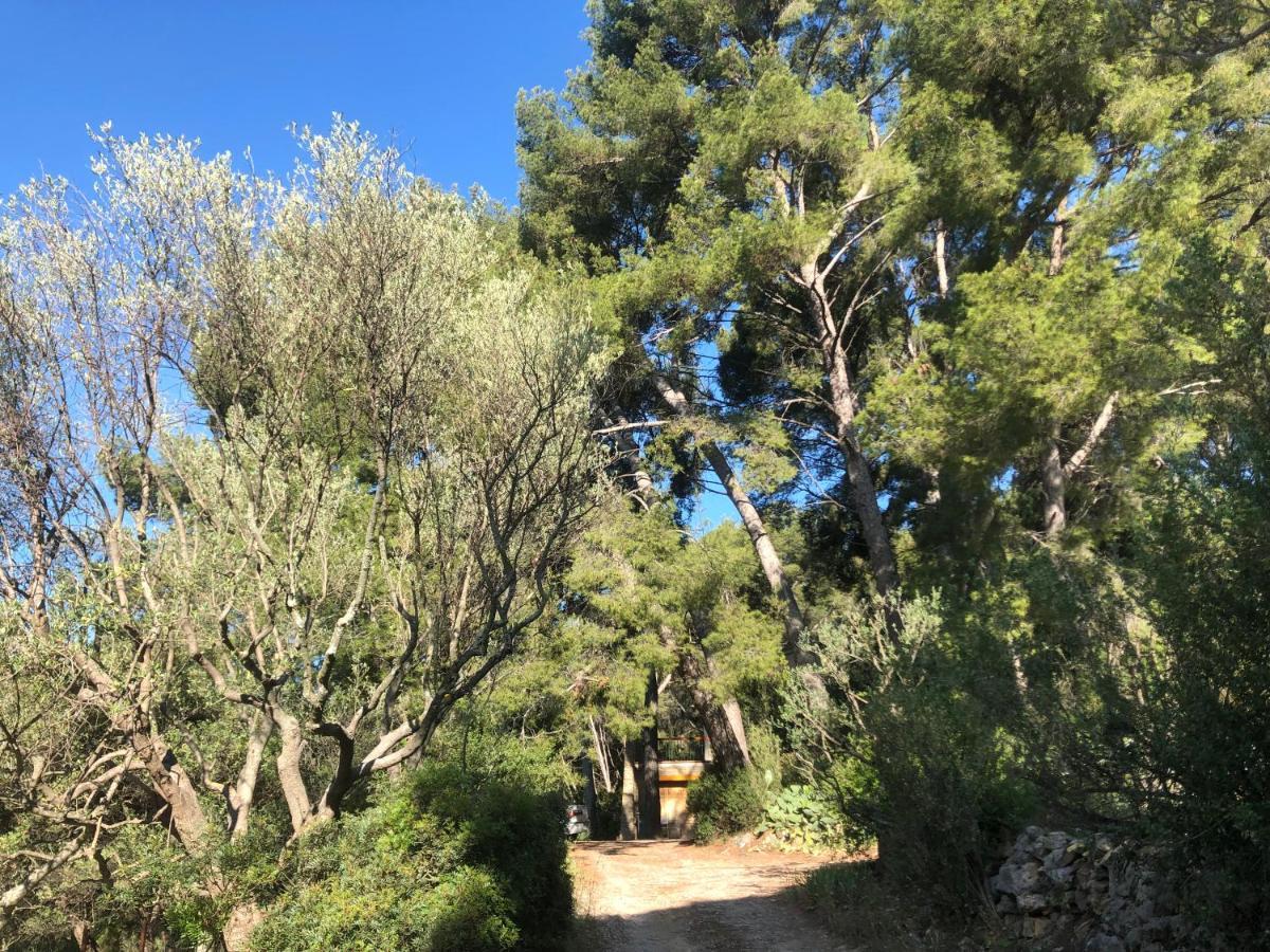 Les Pins Lejlighed Le Castellet  Eksteriør billede