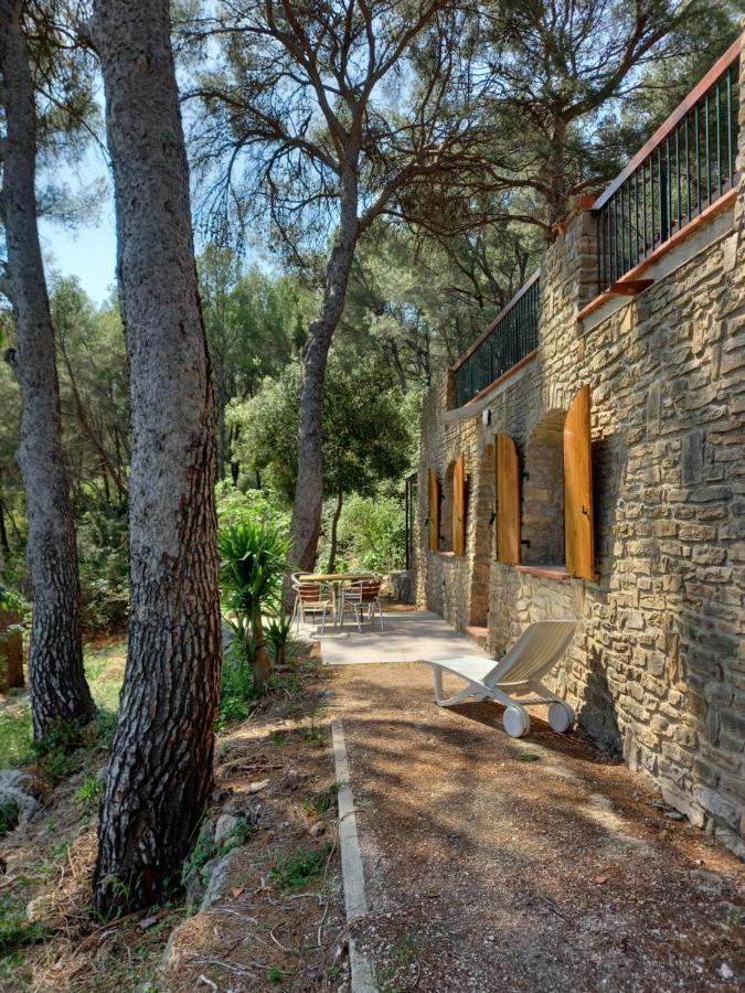 Les Pins Lejlighed Le Castellet  Eksteriør billede